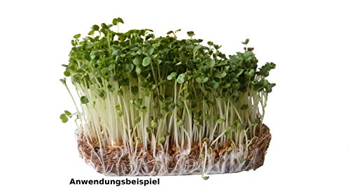 Anzuchtmatte aus 100% Kokos, 50 x 25 cm, ca. 7 mm dick, 5er Pack (EUR 2,59/Stück), Matte geeignet zur Anzucht von z.B. Kresse und Keimsprossen (Microgreens), 100% biologisch abbaubar, Kokosmatte - Image 4