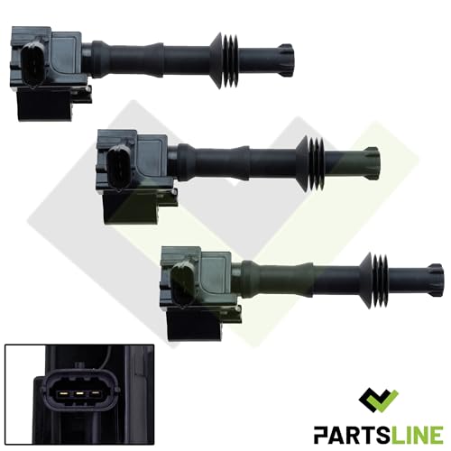 Combustion stable avec le lot de 3 bobines d'allumage 3553459 Rifter - 2