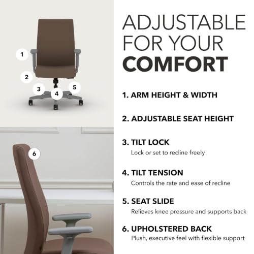 Image of HON Ignition 2.0 Ergonomic Office Chair, Lumbar Support, Desk Chair, Bark
