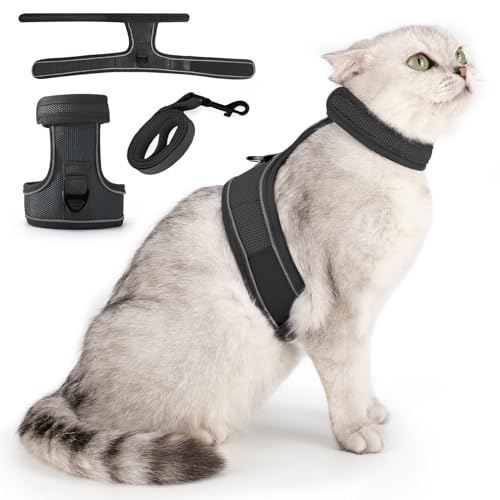 Heywean Arnes Gatos Antiescape Con Correa Doble Adjustable Cat Leash Cat Harness Arnes Gato Pequeño Mediano Y Grande Correa Gato Arnes Para Gato Reflectantes Arnés Gato Adulto Collar Gatos Accesorios
