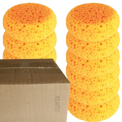 Xilaotou A Box Of 12 Tack Sponges (Coarse Holes) #TOP1