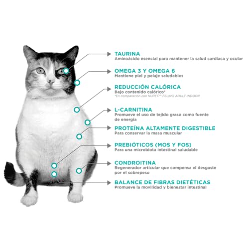 Opiniones de Nupec gato , tabla con los diez mejores. 17 Imagen adicional