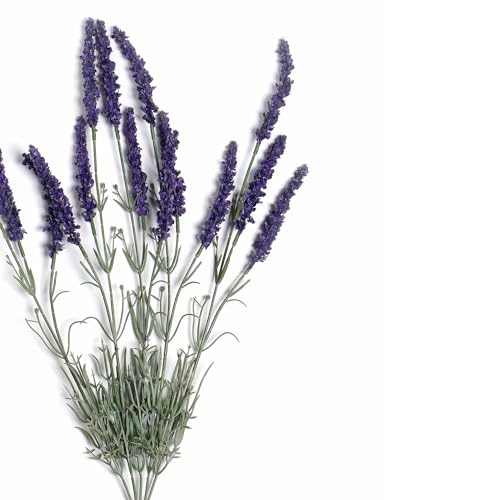 Image of PURE HOME + LIVING Purple Faux Lavender Spray (Made of Plastic, Wire and Fabric) for Home, Office and Living Room Decorations (Without Vase)(Height-56cm) Pack of 1