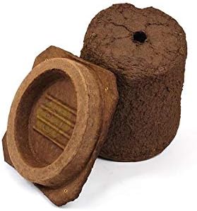 Blythewood Bee Company Wood Pulp Honeybee Swarm Trap