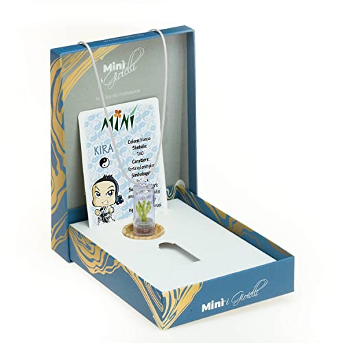 Collana con Ciondolo Mini Cactus Veri, Minì Colors...