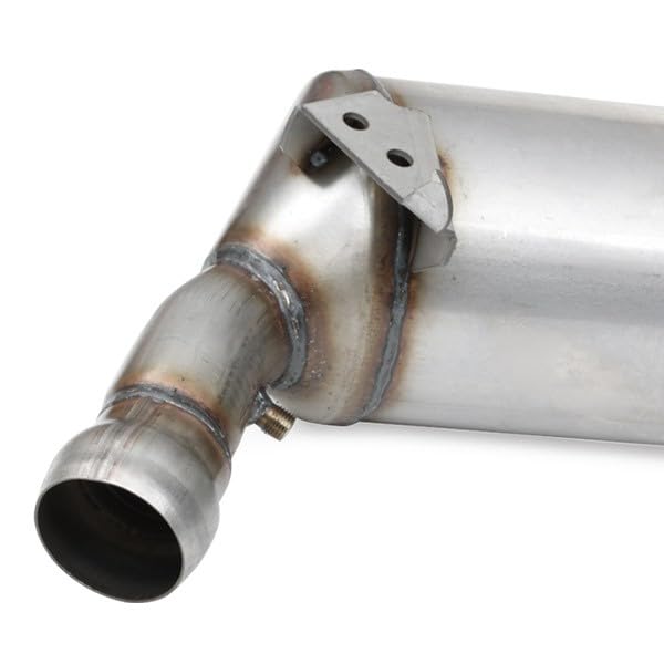 RIDEX 1256S0142 Rußpartikelfilter DPF Abgasanlage Diesel : Amazon 