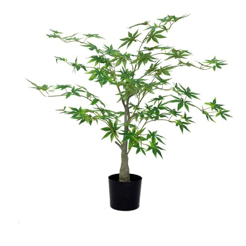 HGJH gt A 120cm lHϗtA ^ tFCNO[ ϗA ϗtA tFCNO[ ^ p  FCN ډB ItBX  CeA ^   lHAJV Vzj JXj JƏj Ύ lHϗt