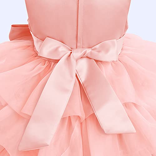 Flower Girls Sequins Bowknot Tutu Dress For Infant Baby Christening Baptism Communion Birthday Party Formal Dress Toddler Princess Pageant Wedding Bridesmaid Organza Tulle Dresses Pink 6-12 Months #TOP5