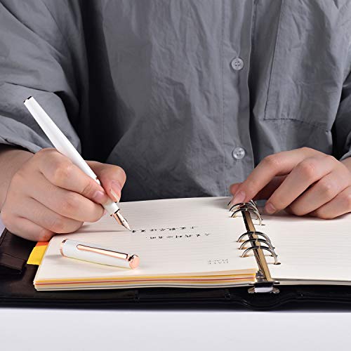 Hongdian 920 White Metal Fountain Pen, Rose Gold Plated Fine Nib And Trim Classic Pen With Ink Converter, Smooth Writing Pen #TOP5