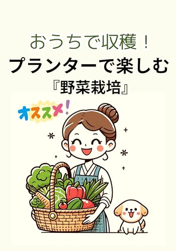 outidesyukakupurntadetanosimuyasaisaibai (Japanese Edition)