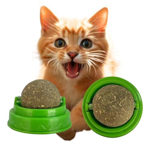 Erva Do Gato Catnip Relaxante Natural Brinquedo Para Gato