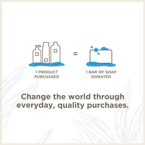 Soapbox Biotin & Superfruit Shampoo & Conditioner Set with Vegan Collagen, Aloe and Shea Butter, Pack of 2 Sulfate Free, Paraben Free, Silicone Free, Color Safe and Vegan Hair Products, 16 Ounces Each
