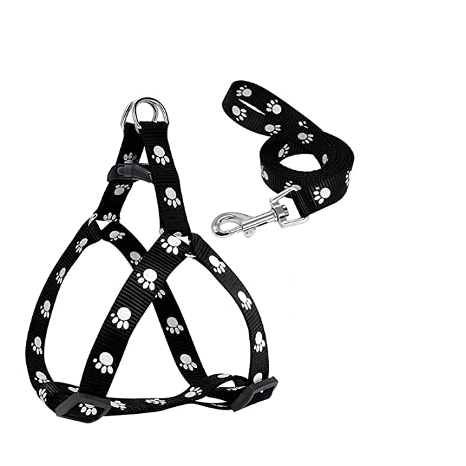 See full amazon price history chart for Pups&Pets 15 MM Puppy Paw Print Leash and Harness Set for Small & Medium Puppy | Dog Harness and Leash (Black) Pups&Pets 15 MM Puppy Paw Print Leash and Harness Set for Small & Medium Puppy | Dog Harness and Leash (Black) (B0BN6B52LG) Amazon Price History, Amazon Price Tracker