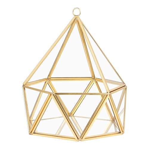 ElegantLife Glass Geometric Terrarium,Succulent & Air Plant(No Plant Included) (Gold)
