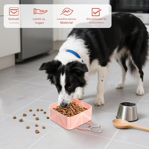 Hundeschale - Collabsible Haustiernahrung Container | 500 ml FALTING Puppy Waterer | Hundewasserversorgungsanleitungspender für Kätzchen Car RV Travel Wanderwanderung Strandboot Outdoor Aktiv