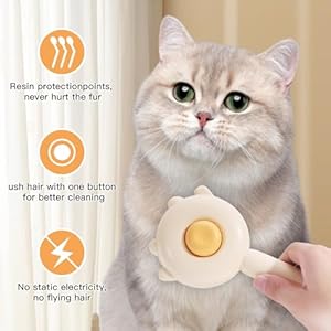 Groomingbrushforcathaircleaning2packcataccessorieskitcatbrushwithreleasebuttonprofessionalcatnailclipperforpethaircleanerandclawcareyellow  Cucciolini Doodles   cucciolini doodles