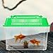 Ipetboom Mini Fish Tank: Plastic Goldfish Aquarium Habitat for Shrimp Turtle Shrimp - Small Reptile cage with Handle, 5.9x3.5x4.3 Inches (Random Color)