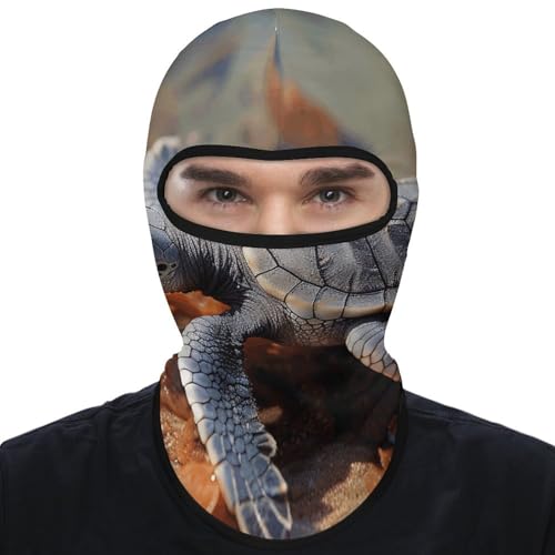 Balaclava para hombre y mujer, máscara facial protectora contra el sol y el viento, cubre toda la cabeza, transpirable, ideal para senderismo, ciclismo y correr