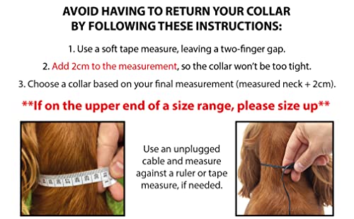 Elite Paws® UK - Collare per cani con fibbia in