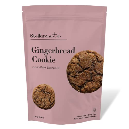 Stellar Eats Gingerbread Cookie Mix, 8.5 Oz, 1 Pack - Grain Free, Gluten Free, Dairy Free, Plant Based, Paleo Friendly #TOP15