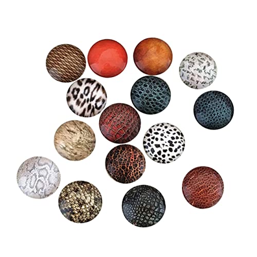 GARIOUANS 117 畗KXXebJ[ ①Ƀ}Olbg zCg{