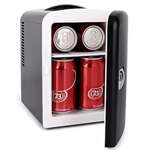 Living Enrichment Portable Mini Fridge 4 Liter 6 Can Skincare Fridge, AC 120V DC 12V Small Refrigerator Cooler and Warmer for Skincare, Foods, Medications, Bedroom, Travel and Car – Black