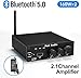 Fosi Audio BL20C Bluetooth 5.0 Stereo Audio Receiver Amplifier 320 Watts 2.1 CH Mini Hi-Fi Class D TDA7498E Integrated Amp U-Disk Player for Home Passive Speakers Powered Subwoofer(with Power Supply)
