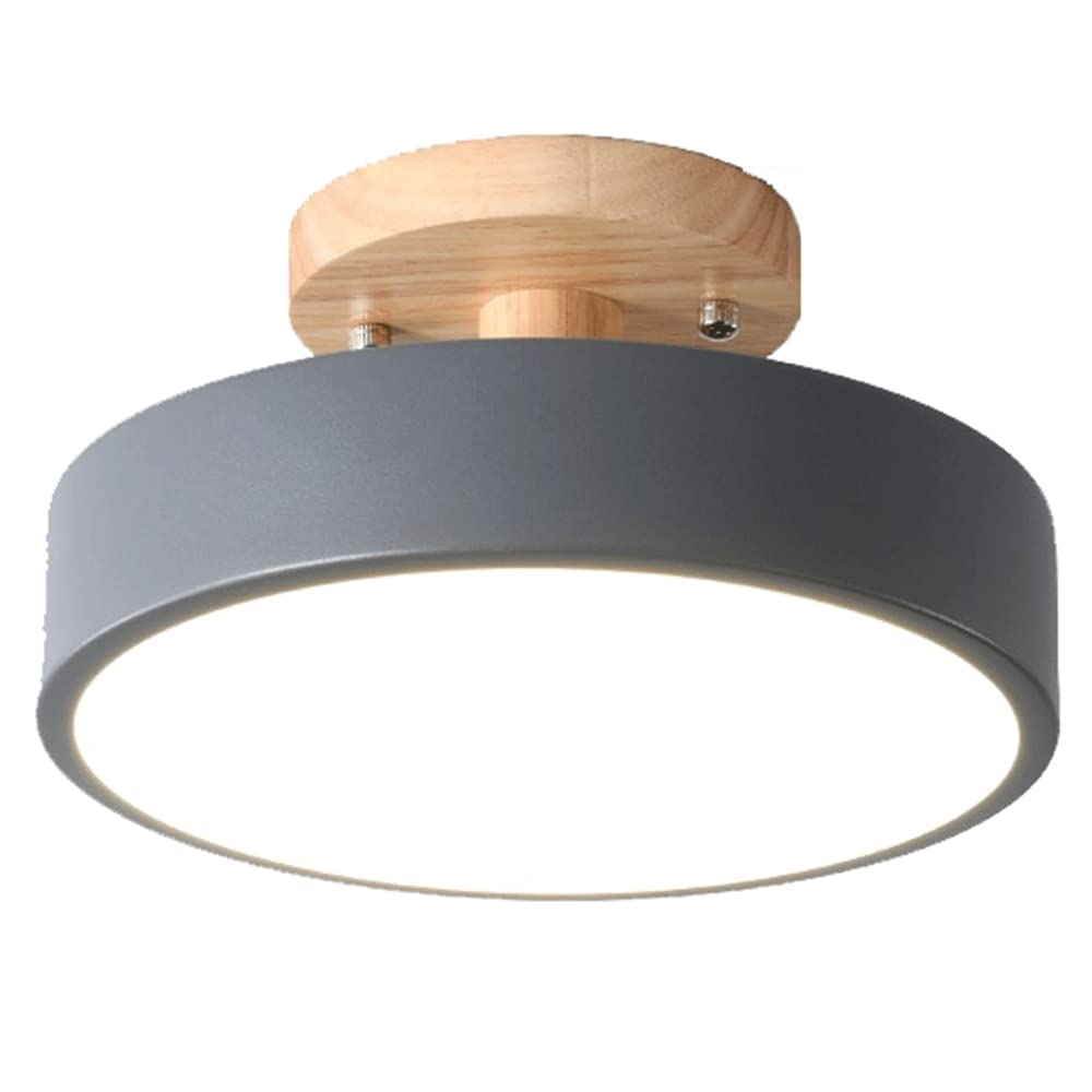 Elegant Macaroon Ceiling Lights Cold White Light Panel Light Color Iron Art Flat Lights Industrial Super Bright Lighting Fixtures LED Circular Flush Lamp for Kitchen, Bedroom, Living Room and