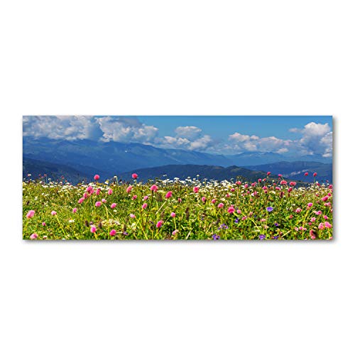 Dosseret en verre de cuisine 125x50cm splashback panoramique motif paysage alpin