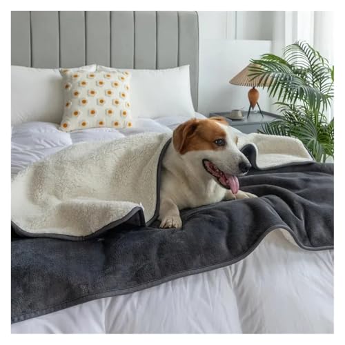 Tapis imperméable pour chat et chien idéal pour protéger le lit en automne