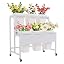 2 Tier 6pcs White Square Bucket