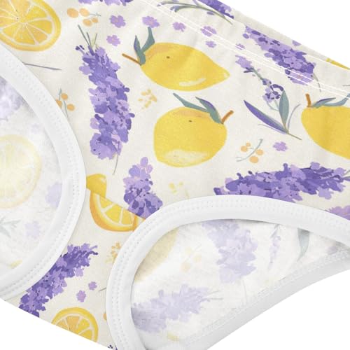 Wusikd Lavender Lemon Girls' Underwear Cotton Girls Briefs Soft Toddler Underwear 2T4