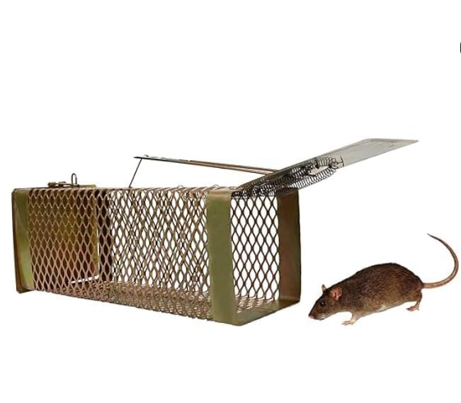 chuha pinjra, Mouse pinjra,Rat penjra,Chua pinjra,Mouse/Rat Trap cage/Big Iron Rat Trap for Catching Rat Catcher Box Pack of 1-image-37