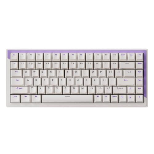 G75 TKL Gaming Mechanical Keyboard con Interruptor magnético 75 por ciento Diseño 84 RGB