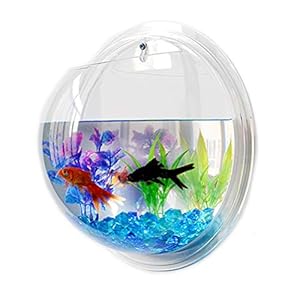 2PCS Wall Hanging Fish Tanks,Clear Acrylic Round Fish Tanks Flower Pot Vase,Hydroponic Air Plant Flower Pot,Acrylic Round Wall Mounted Hanging Fish Bowl Aquarium Tanks(Assorted Color)
