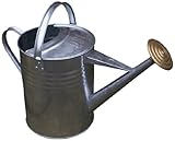 Acero galvanizado resistente. Apollo Gardening - Regadera Tradicional de Metal galvanizado (9 litros)