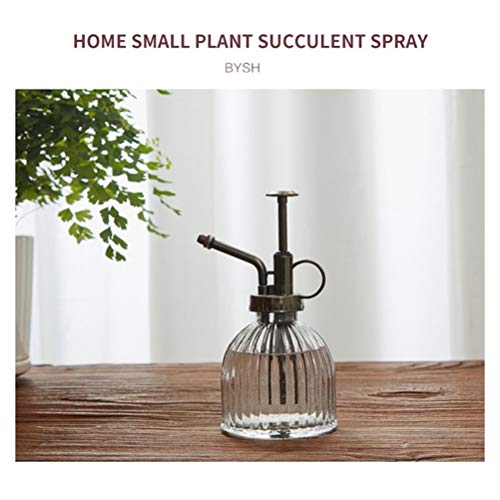 Garrafa de spray de spray de plantas de vidro, névoa de plantas, garrafa de pulverizador de plantas