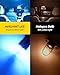 AUXLIGHT BA9S BA9 1895 1891 53 57 64111 3893 47830 Error Free LED Bulb, Super Bright 3030-SMD Interior Car Bulbs Replacemet for Dome Map License Plate Glove Box Lights (Ice Blue, Pack of 10)