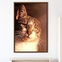 Framed Canvas Wall Art Cat Animals Cat Chic Multicolor Photography Urban - 16x24 inches
