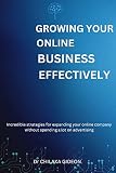 GROWING YOUR ONLINE BUSINESS EFFECTIVELY : Incredible strategies for expanding your online company without spending a lot on advertising (English Edition)