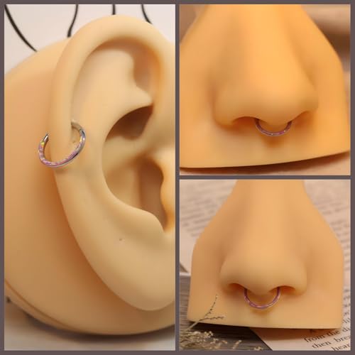 Image of PEAKLINK 16G 18G 316L Stainless Steel CZ /OPAL Septum Piercing Septum Clicker Ring Hinged Nose Ring Daith Earrings Conch Piercing Jewelry Helix Cartilage Tragus Lobe Belly Hoop Earring