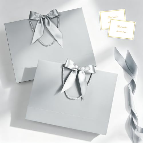 Image of JMANNI Gift Bags with Handles, 13 inch Medium Gift Bag for Presents, 1 Pcs Bags with 2 Tissue Paper and 1 Cards for Graduation Baby Shower Wedding Fathers Day Mother's Day Birthday Party（silver）