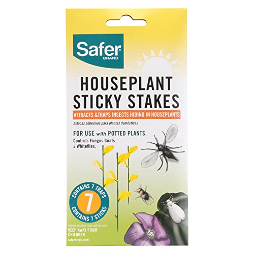 Safer Brand 5026 Houseplant Sticky Stake Insect Traps for Indoor Plants - Controls Fungus Gnats, Whiteflies, Midges, Thrips, Fruit Flies, and Black Flies - 1 Pack, 7 Traps Safer Brand 5026 Houseplant Sticky Stake Insect Traps for Indoor Plants - Controls Fungus Gnats, Whiteflies, Midges, Thrips, Fruit Flies, and Black Flies - 1 Pack, 7 Traps