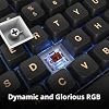Montech MKey TKL Mechanical Gaming Keyboard: Customizable RGB LED, Premium MDA Profile PBT Keycap, Hot-Swappable Gateron G Brown Pro 2.0 Pre-lubed Switches, Osaka Castle Theme, Darkness (MK87DB)