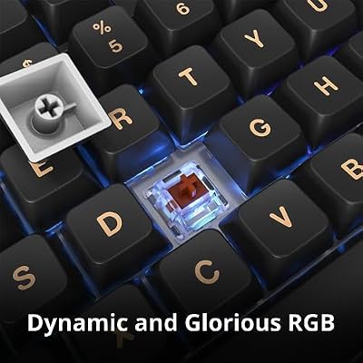 Montech MKey TKL Mechanical Gaming Keyboard: Customizable RGB LED, Premium MDA Profile PBT Keycap, Hot-Swappable Gateron G Brown Pro 2.0 Pre-lubed Switches, Osaka Castle Theme, Darkness (MK87DB)