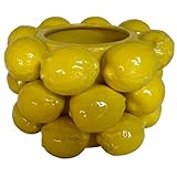 Photo Gallery peachiipitt vaso a forma di limone, in ceramica gialla, stile francese/mediterraneo, unico vaso con design 3d a limone, decorazione da cucina a tema limone, regalo di inaugurazione della casa per lei Photo Gallery peachiipitt vaso a forma di limone, in ceramica gialla, stile francese/mediterraneo, unico vaso con design 3d a limone, decorazione da cucina a tema limone, regalo di inaugurazione della casa per lei