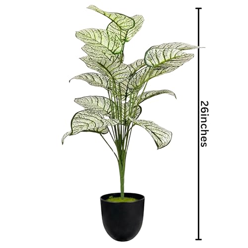 Image of Dekorly Artificial Palm Tree - Large Fake Tropical Floor Plant, Realistic Plastic Greenery for Indoor Home, Office, Living Room & Corner Decor (Dieffenbachia White)