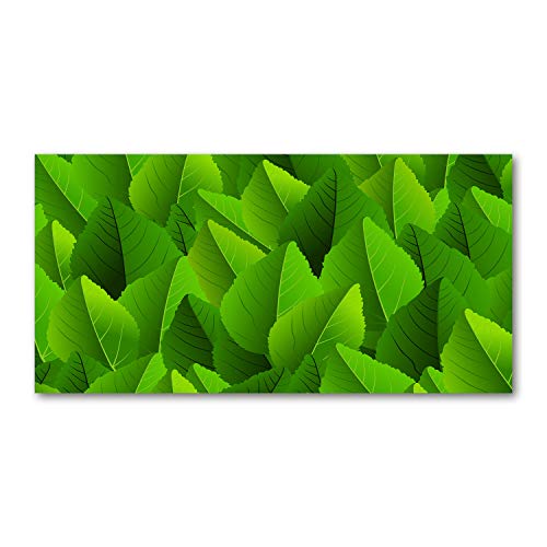 Crédence de cuisine 120x60 cm en verre trempé vert motifs feuilles