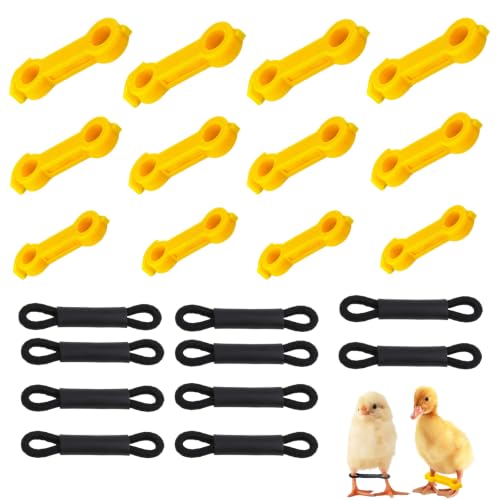 22 Piezas Bandas Correctoras para Patas de Aves, Anillos Ajustables para Patas Abiertas de Pollitos, Codornices, Patos y Loros, Soporte para Piernas de Aves Pequeñas