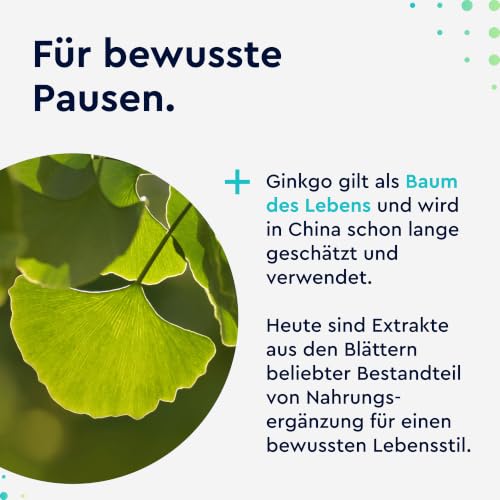Ginkgo Biloba 3950 mg - 365 tableta visoke doze - S flavonoglikozidima + terpenskim laktonima i ginko bez kiseline - 50:1 ekstrakt - vegansko i bez aditiva - Laboratorijski testirano i razvijeno u Njemačkoj